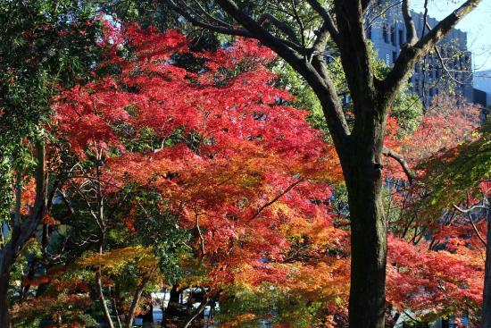 Hibiya-parken